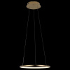 Фото Подвесной светильник Loft it Ring 10014S