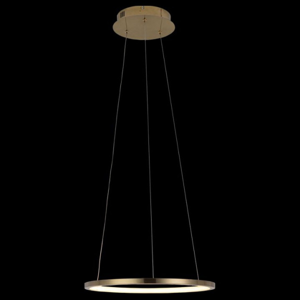 Открыть Подвесной светильник Loft it Ring 10014S Фото Подвесной светильник Loft it Ring 10014S