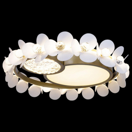 Открыть Накладной светильник Loft it Bride 10173 Фото Накладной светильник Loft it Bride 10173