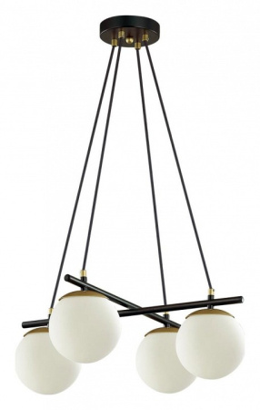 Фото Подвесная люстра Lumion Randi 5212/4