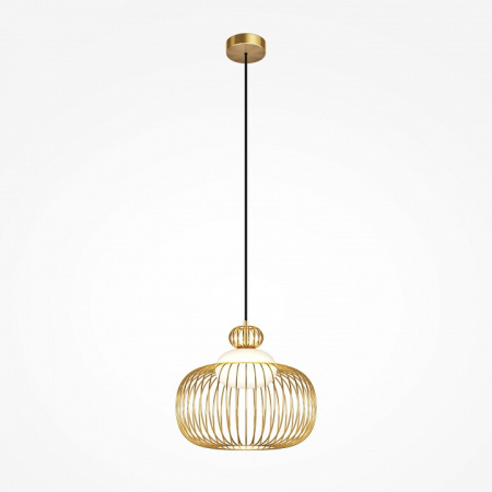 Фото Подвесной светильник Maytoni Levitation MOD376PL-01G