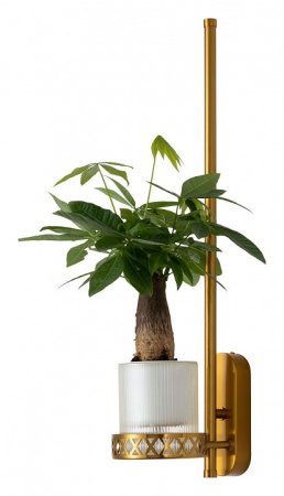 Фото Бра Favourite Greenery 4050-1W