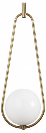 Фото Подвесной светильник Freya Bumble FR5144PL-01W