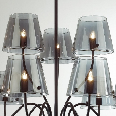 Фото Люстра на штанге Lumion Smoky 6570/9C