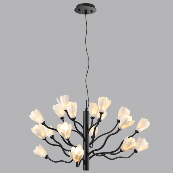 Фото Подвесная люстра Odeon Light Gardi 5090/18