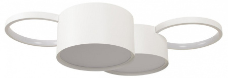 Фото Потолочная люстра Loft it Pin 10317/4 White