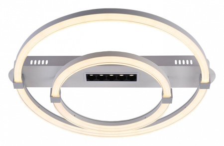 Фото Накладной светильник Escada Aspect 10253/2LED