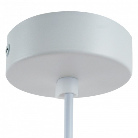 Фото Подвесной светильник Feron HL3698 48685