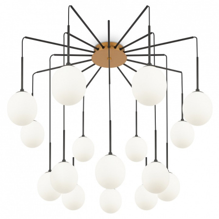 Фото Потолочная люстра Maytoni Branch MOD176PL-16G