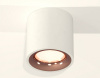 Открыть Накладной светильник Ambrella Light XS XS7531025 Фото Накладной светильник Ambrella Light XS XS7531025