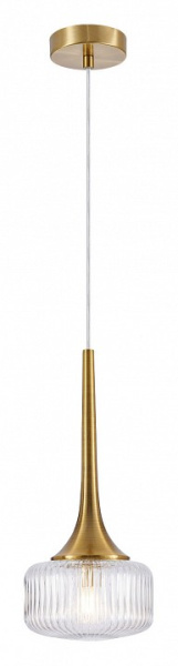 Фото Подвесной светильник Favourite Malinconia 4051-1P