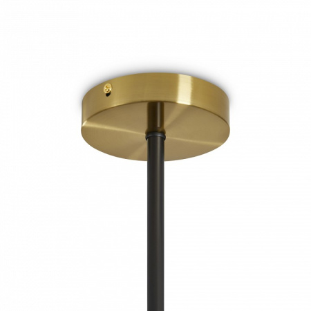 Фото Люстра на штанге Freya Lora FR5432PL-06BBS