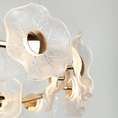 Фото Подвесная люстра Rivoli Shannon Б0061947