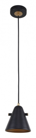 Фото Подвесной светильник F-promo Rigor 2844-1P