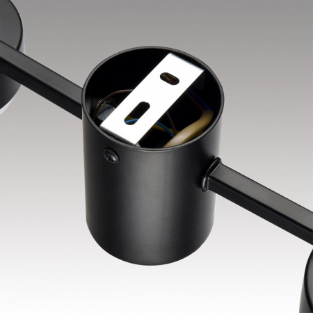 Фото Накладной светильник Lumion Sanata 8187/6C