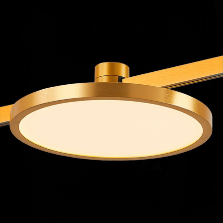 Фото Накладной светильник ST-Luce Farm ST818.206.12