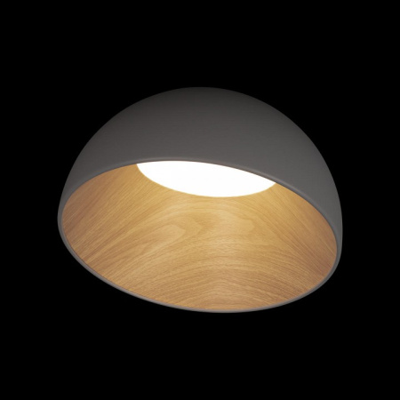 Открыть Накладной светильник Loft it Egg 10197/350 Grey Фото Накладной светильник Loft it Egg 10197/350 Grey