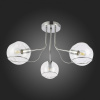 Открыть Потолочная люстра EVOLUCE Baca SLE102502-03 Фото Потолочная люстра EVOLUCE Baca SLE102502-03