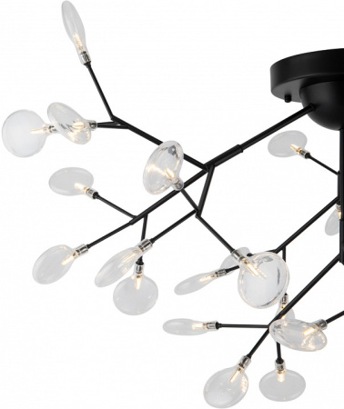 Фото Потолочная люстра Freya Florencia FR5049CL-36B