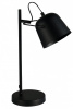 Настольная лампа офисная EVOLUCE Blank SLE1805-404-01