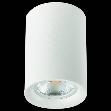 Фото Накладной светильник ST-Luce ST114 ST114.507.01