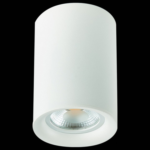 Фото Накладной светильник ST-Luce ST114 ST114.507.01