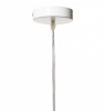Открыть Подвесной светильник Loft it Wildlife LOFT1806 Фото Подвесной светильник Loft it Wildlife LOFT1806