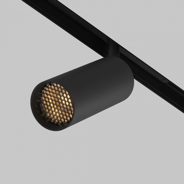 Фото Светильник на штанге Maytoni Artisan TR097-2-12W2.7K-M-BB