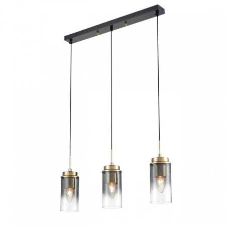 Фото Подвесной светильник Lumion Isha 8101/3A