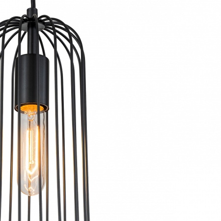 Фото Подвесной светильник Escada Phoenix 10198/1S