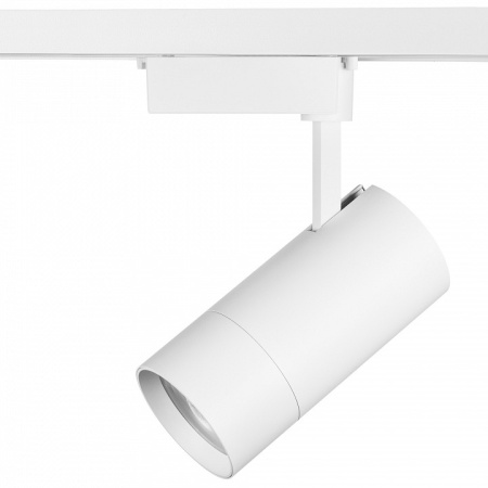 Фото Светильник на штанге Lightstar Volta 229436