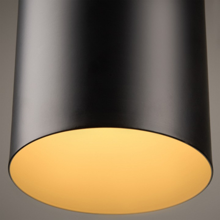 Фото Подвесной светильник Freya Achillea FR5400PL-01B