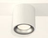 Открыть Накладной светильник Ambrella Light XS XS7531023 Фото Накладной светильник Ambrella Light XS XS7531023