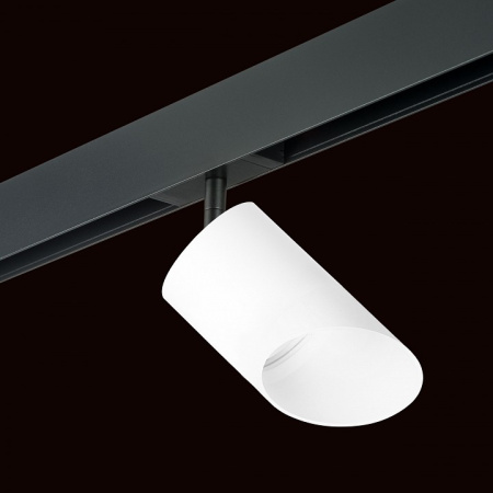 Фото Светильник на штанге Lightstar Rullo PRO348686