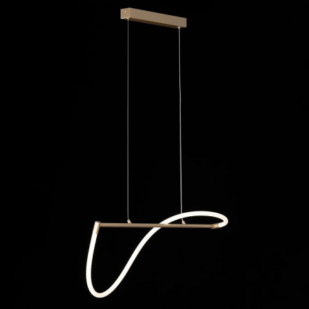 Фото Подвесной светильник Citilux Eva CL210112