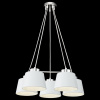 Фото Подвесная люстра Freya Barbara FR5004PL-05CH