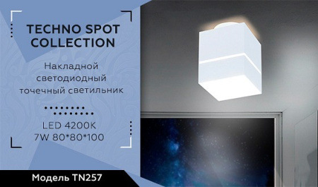 Открыть Накладной светильник Ambrella Light TN TN257 Фото Накладной светильник Ambrella Light TN TN257