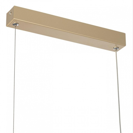 Фото Подвесной светильник Citilux Eva CL210112