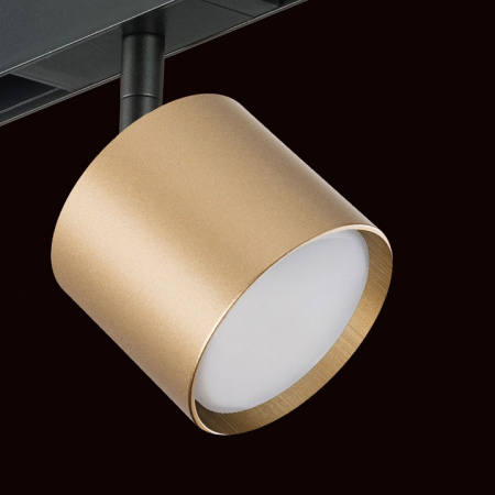 Фото Светильник на штанге Lightstar Rullo PRO3490