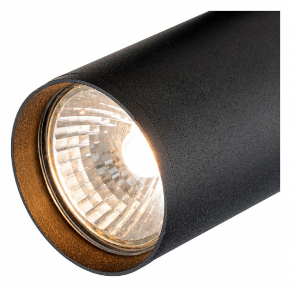 Фото Светильник на штанге Escada 20001 20001TRA/01 SBK