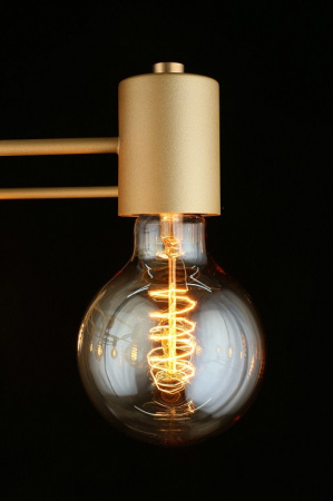 Фото Потолочная люстра Aployt Elison APL.911.07.09