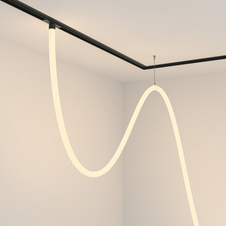 Фото Подвесной светильник Maytoni Tau TR101-2-100W3K-B