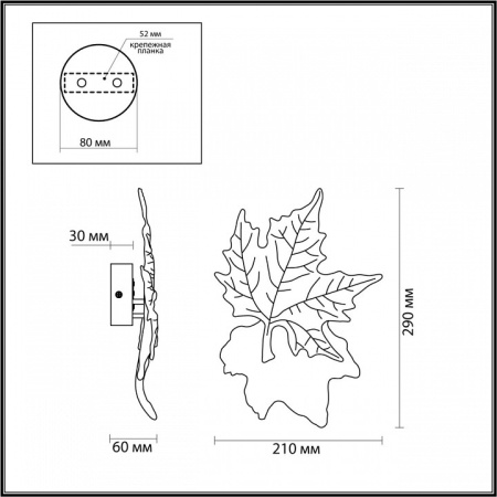 Фото Накладной светильник Odeon Light Eva 4371/6WL