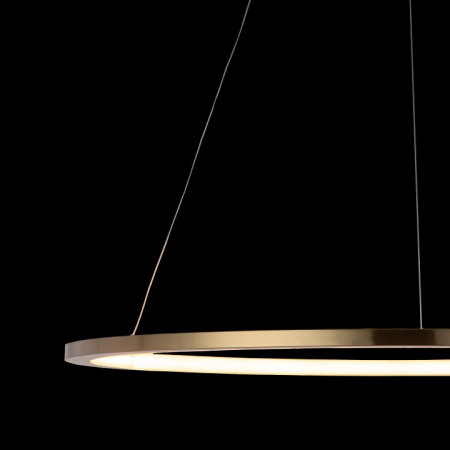 Фото Подвесной светильник Loft it Ring 10014L