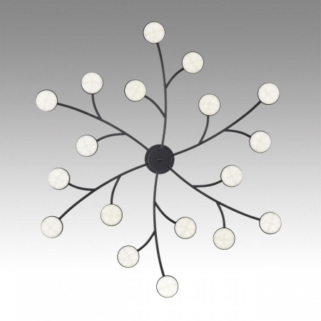 Фото Люстра на штанге Lumion Torina 8117/18