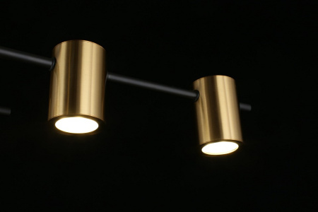 Фото Потолочная люстра Aployt Elwisia APL.633.07.10