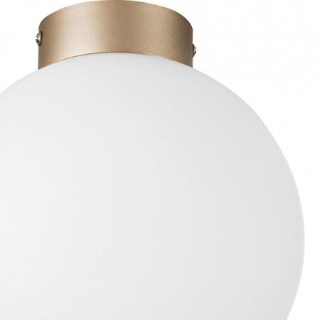 Фото Накладной светильник Lightstar Globo 812023