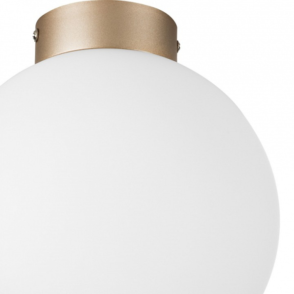 Фото Накладной светильник Lightstar Globo 812023