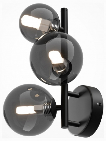 Фото Бра Maytoni Dallas MOD545WL-03B