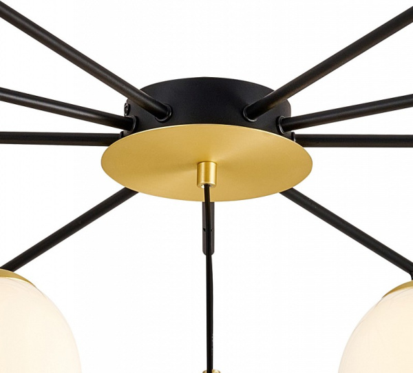 Фото Подвесной светильник Favourite Paramount 3047-10P